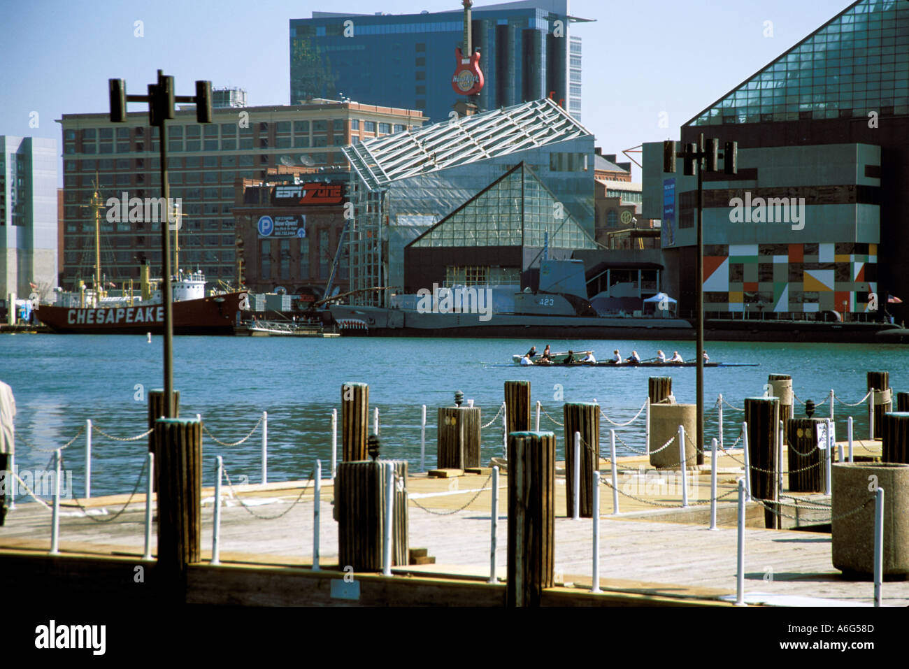A rowing team is seen sculling in the Baltimore Harbour in Maryland USA ...