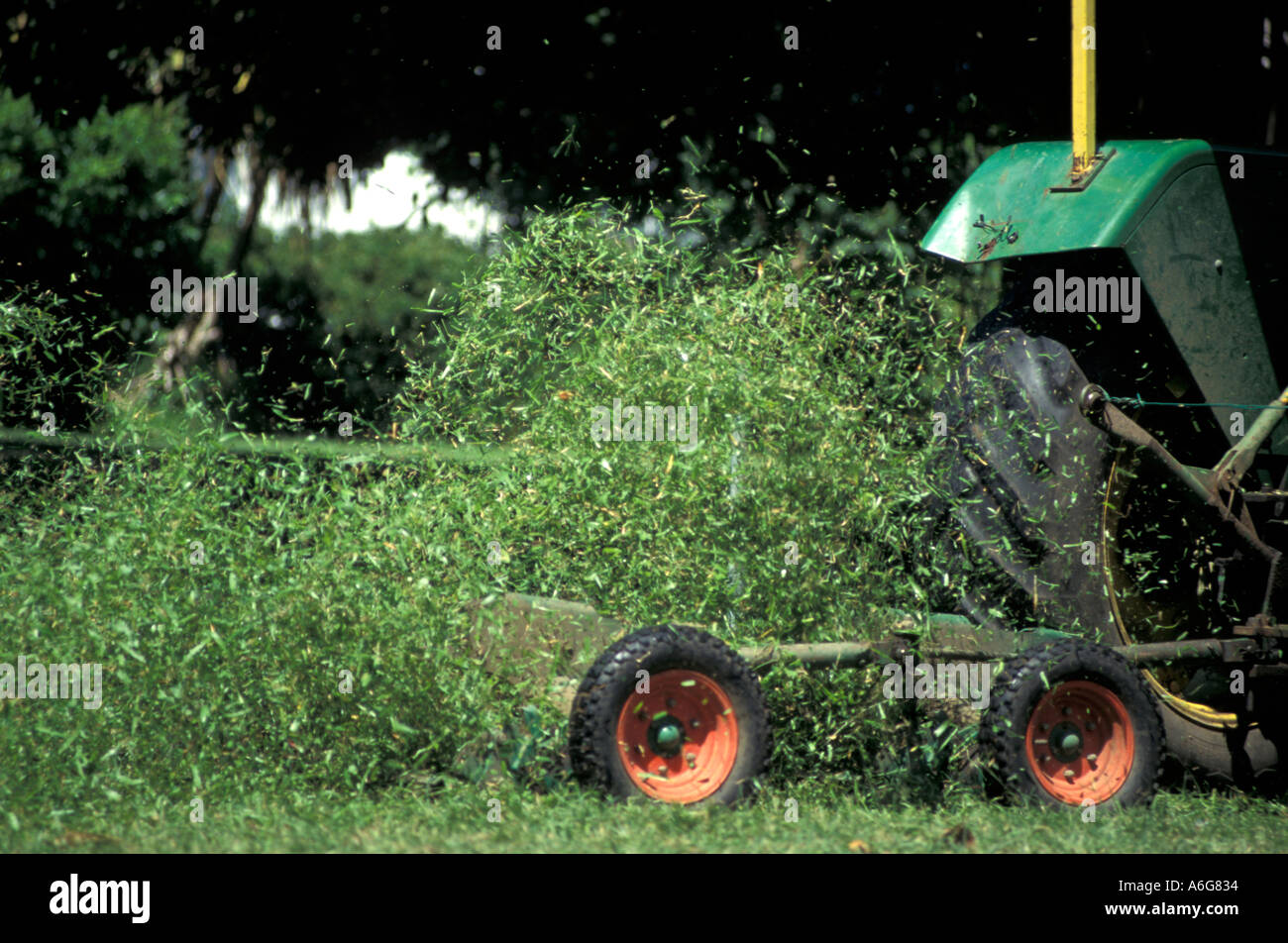 traktor grass cutting Stock Photo
