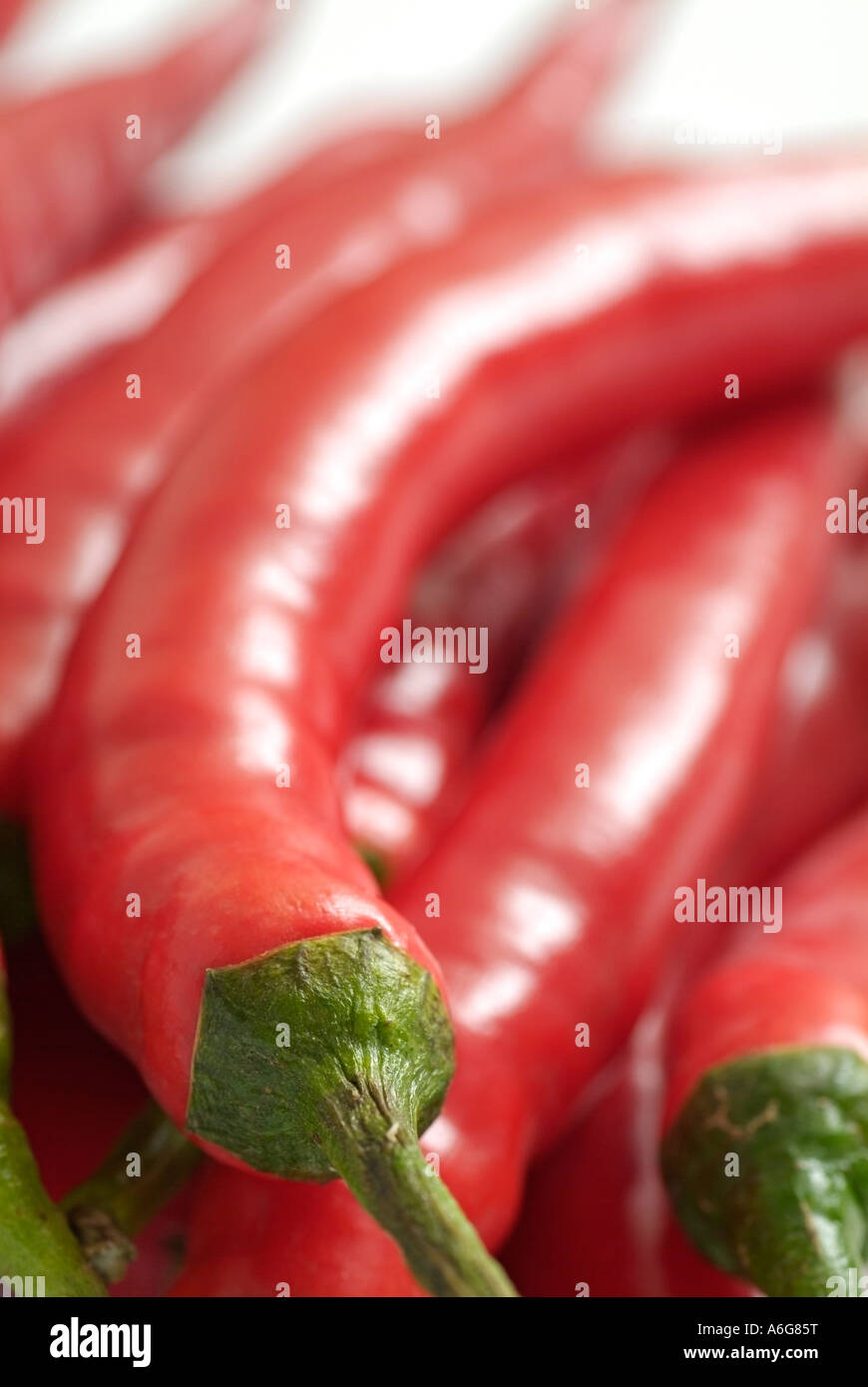 Red Chile Peppers Capsicum Annum Stock Photo
