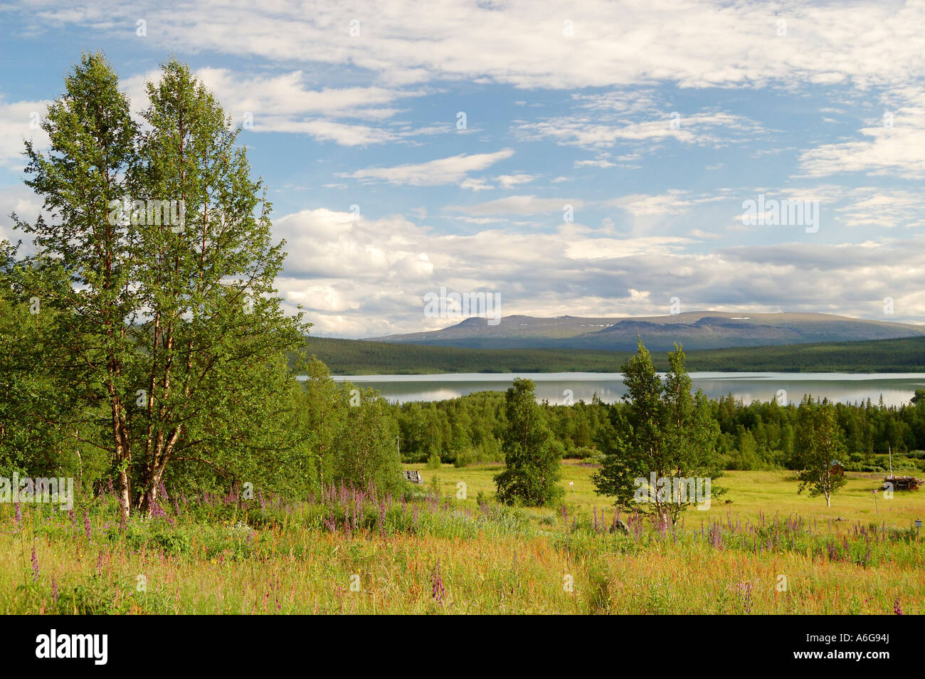 View onto lake Laitijaure, Aktse, Sarek National Park, Lapland, Sweden Stock Photo