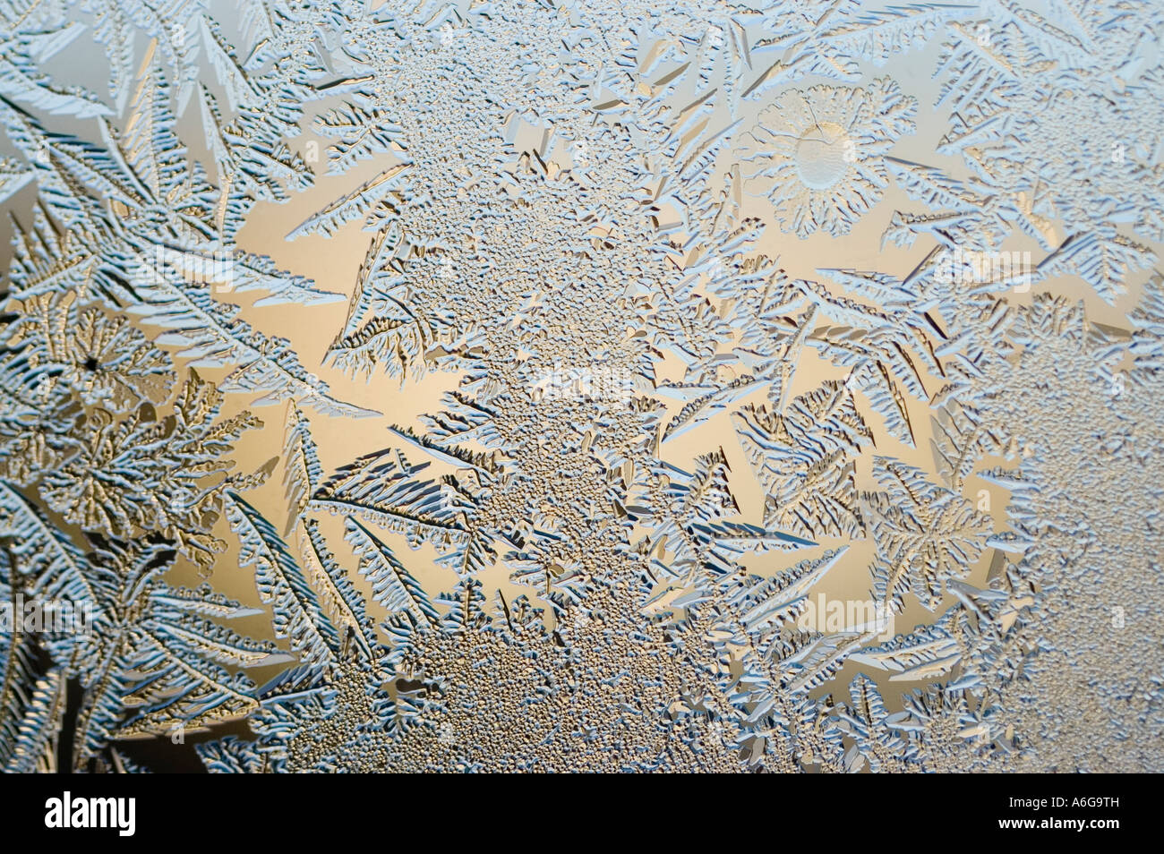 Frost flowers on window Stock Photo