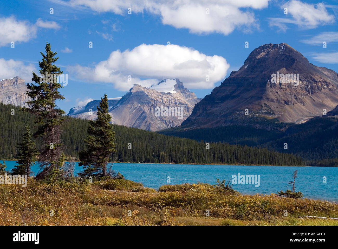 View of Mount Hector and Bow Peak towering over Bow Lake, Bow Valley, Banff National Park