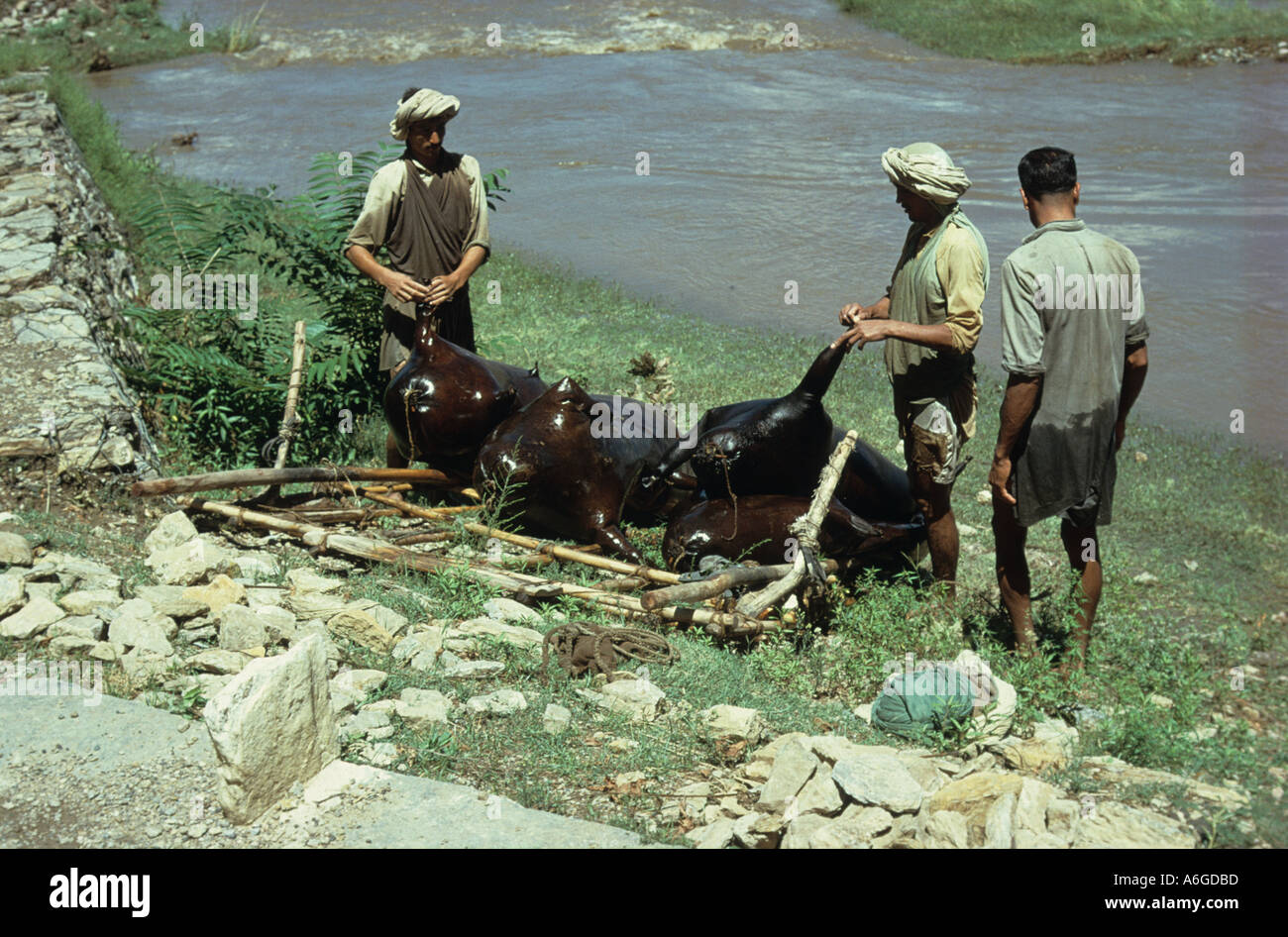 Zak Buffalo skin raft used for fishing and river crossing Mingora Swat Valley River Indus Northwest Pakistan Stock Photo