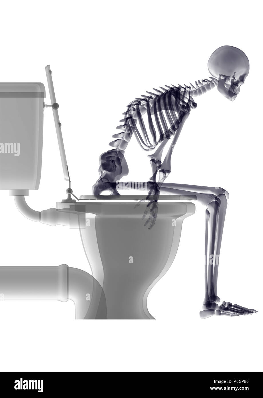 Skeleton In Closet Stock Photos Skeleton In Closet Stock Images