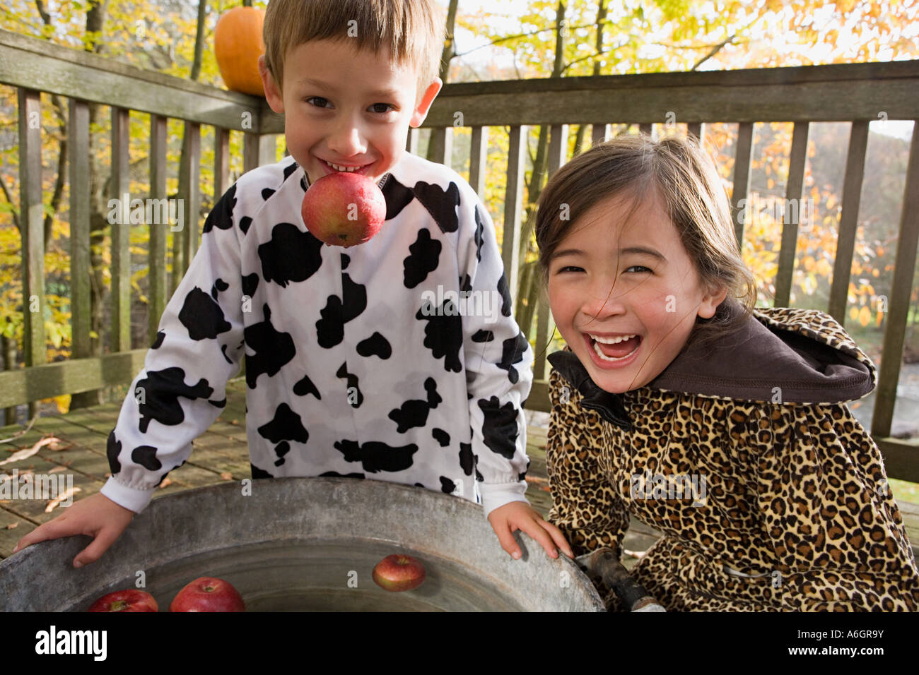 Яблочко во рту. Тазик с яблоками. Ловля яблок на хэллоуин. Bobbing for apples. Apple bobbing.