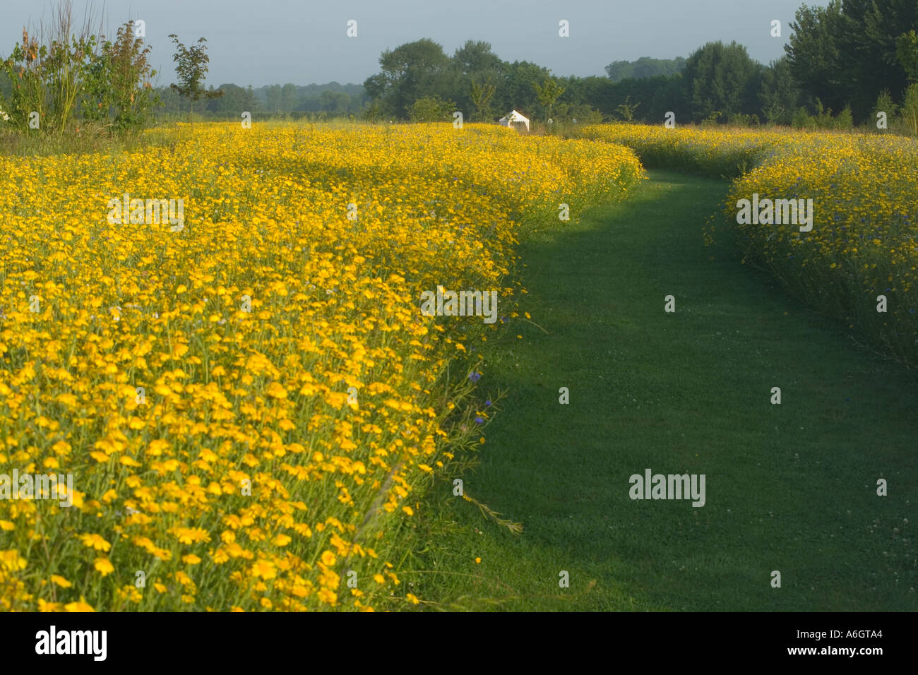 Burford Gardens, wildflower meadow Stock Photo Alamy