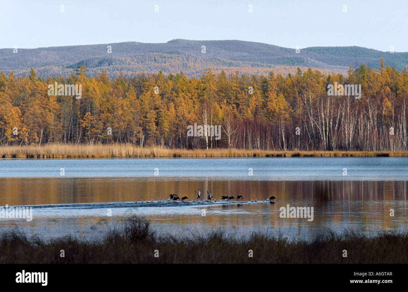 Azas (Toodja) lake. Todja Kozhuun. The Sayan Mountains. The Tyva (Tuva) Republic. Russia Stock Photo