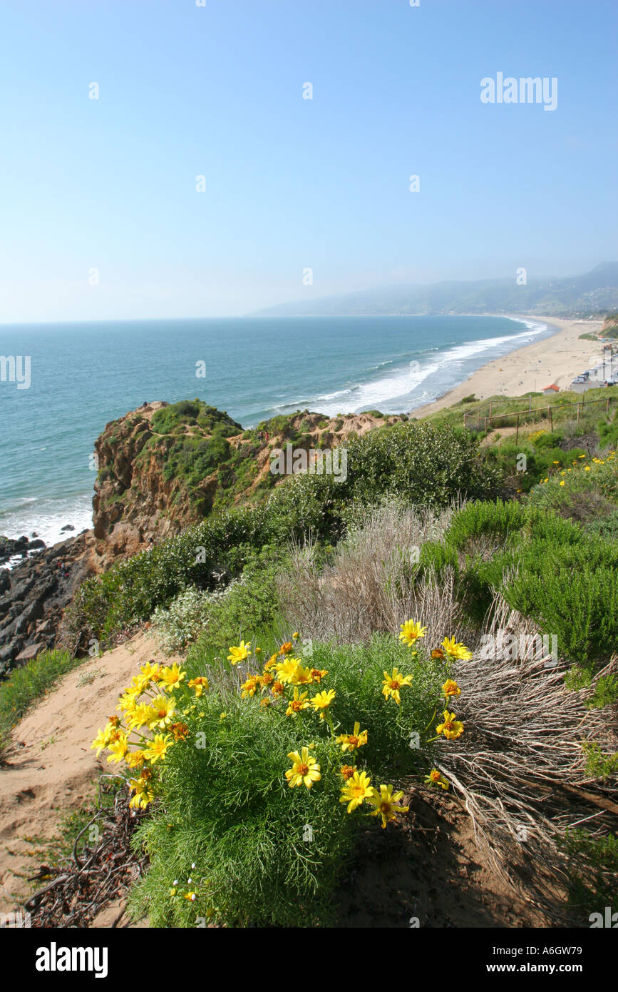Point Dume Malibu Los Angeles County California LA Stock Photo Alamy