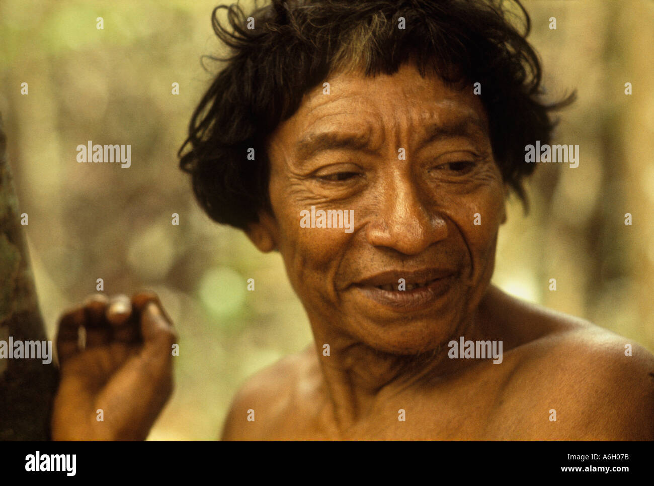 Portrait of old Panare indigenous man in Venezuela. The Panare (endonym