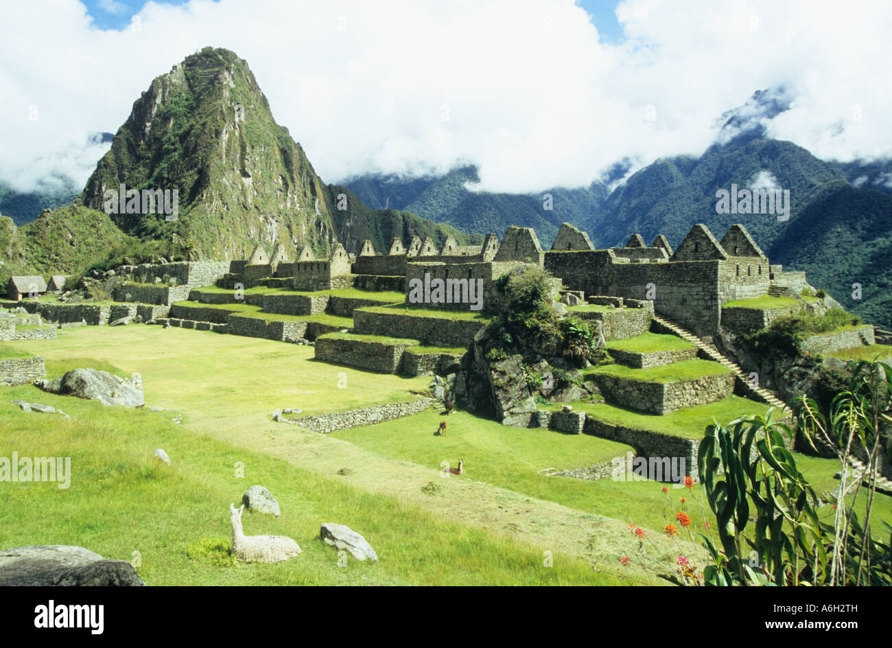 Machu picchu peru Stock Photo - Alamy