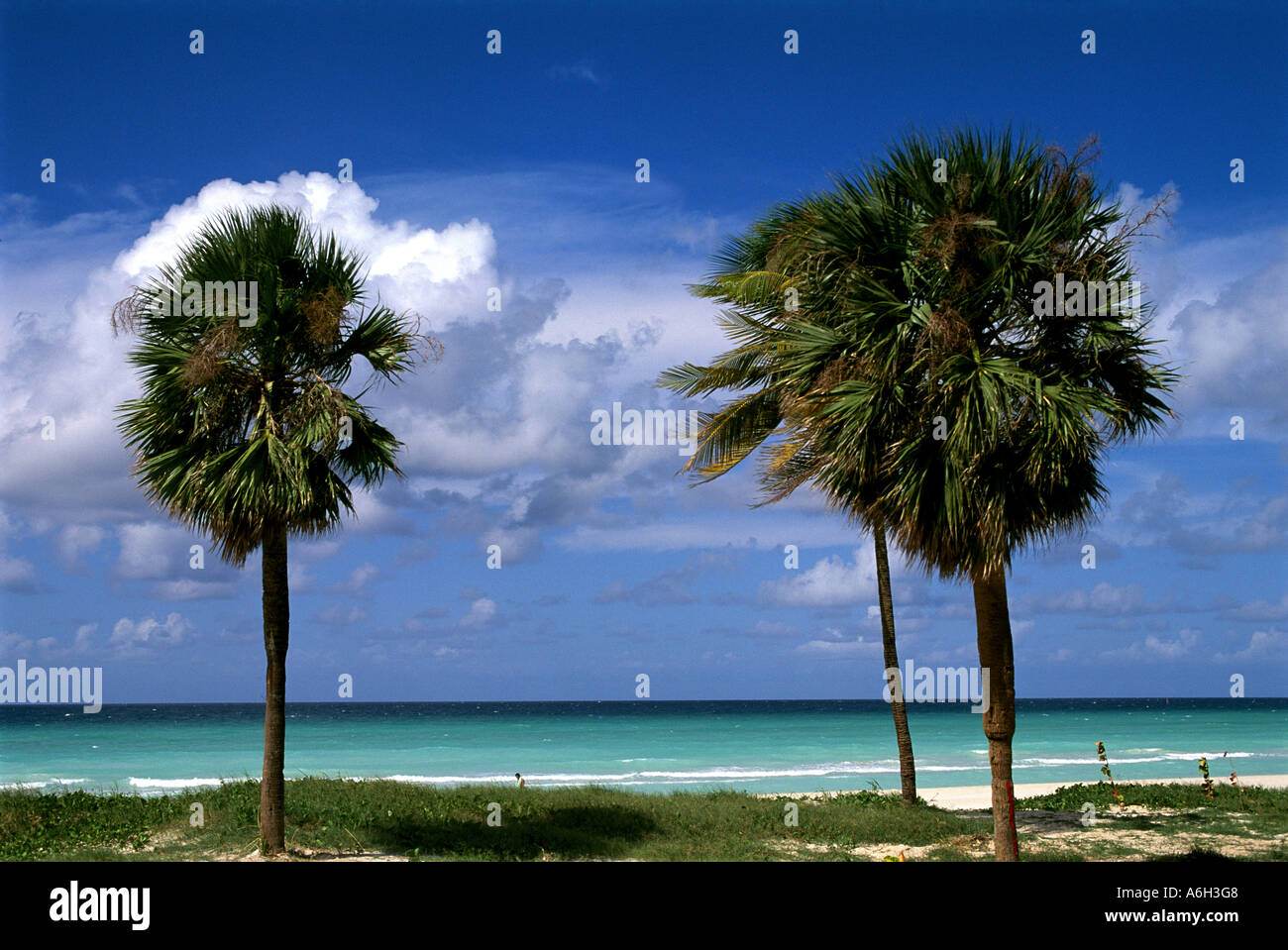 Plage Havana Stock Photos Plage Havana Stock Images Alamy