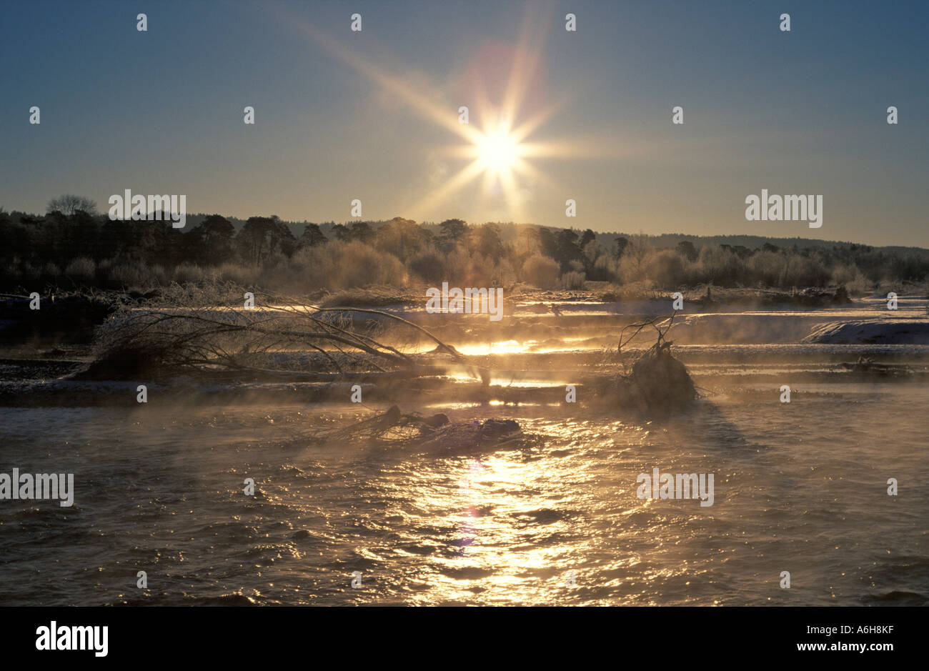 Isar river Bavaria Germany winter morning Stock Photo