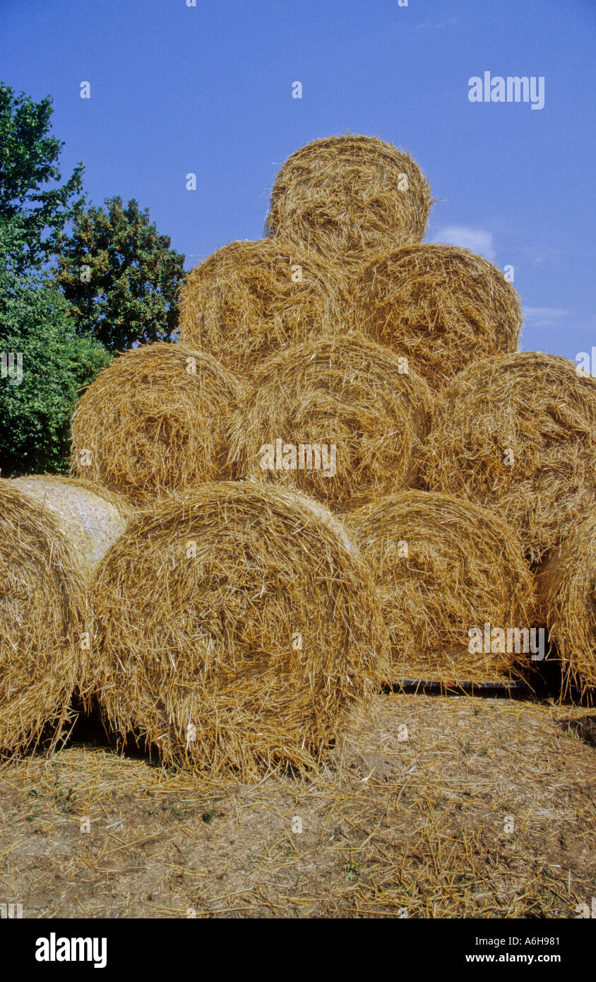 Straw Rolls 3 Stock Photo Alamy
