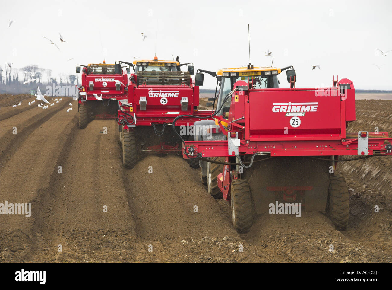 Mechanised soil preparation bed forming for commercial potato crop ...