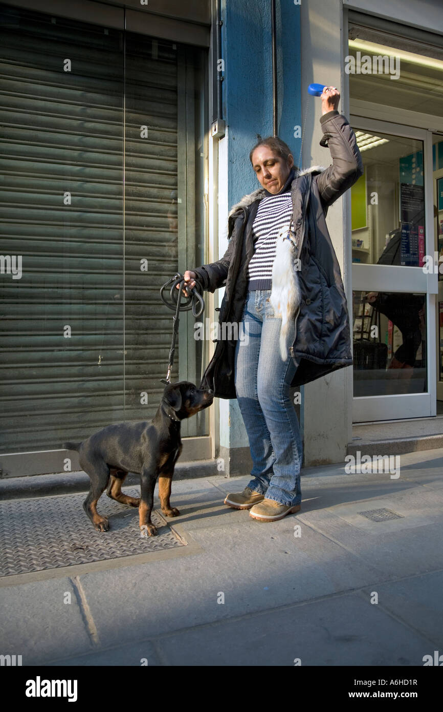 A woman with ferrit on a lead tries to save it from being eaten by her rotweiller puppy Stock Photo