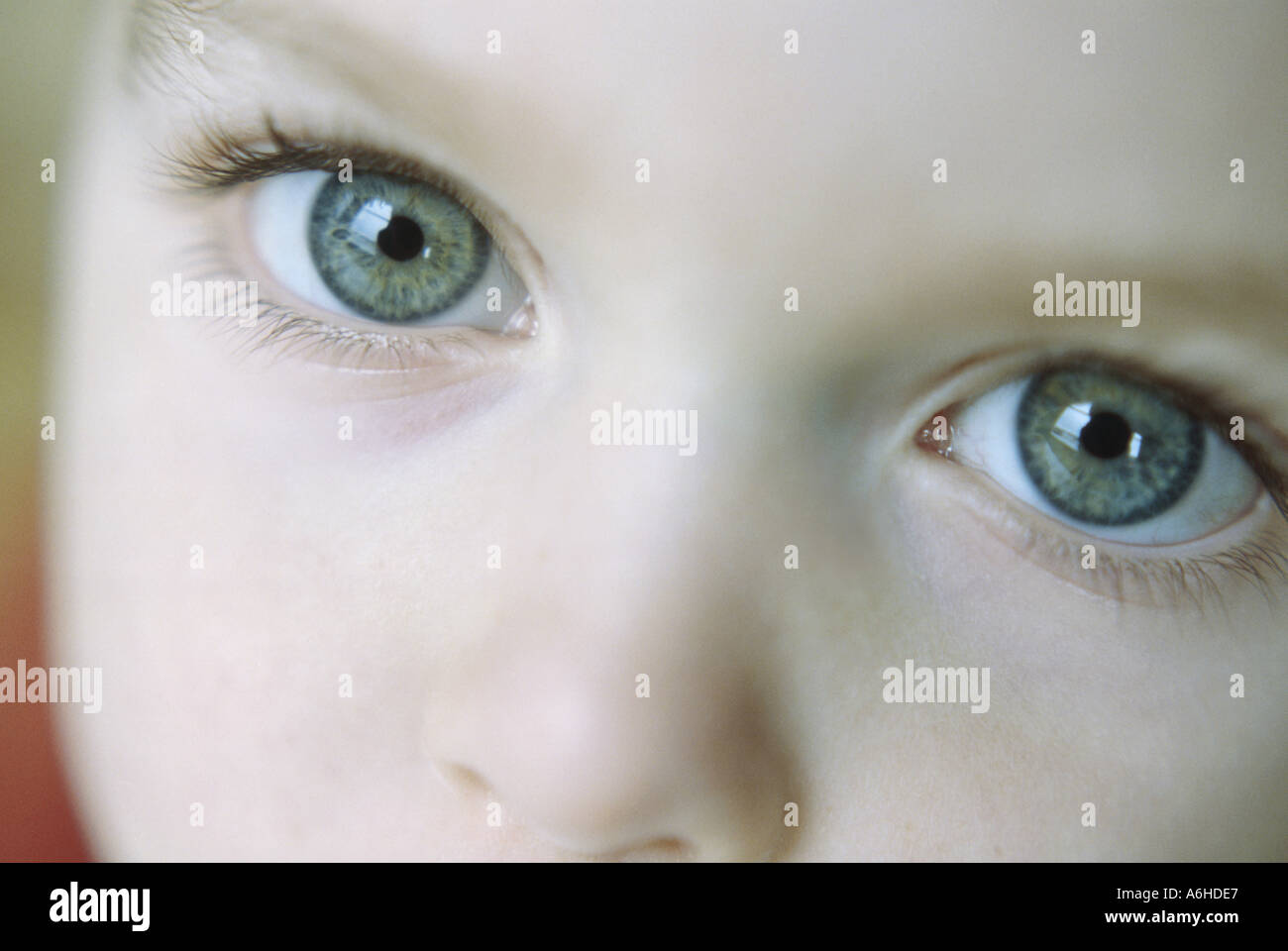 Eyes of a Child Stock Photo Alamy
