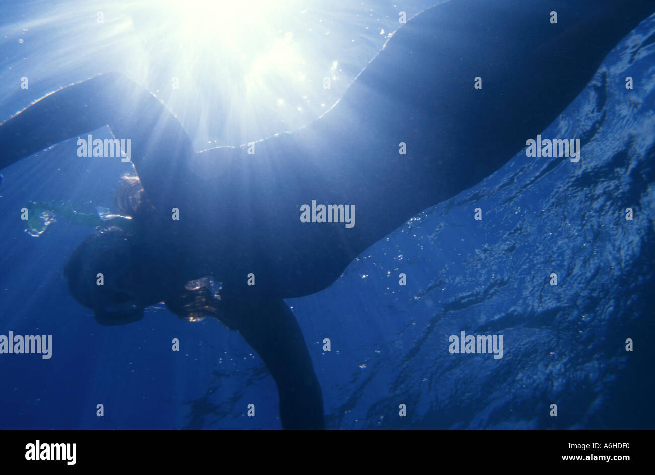 Woman Swimming Under Water Stock Photo - Alamy
