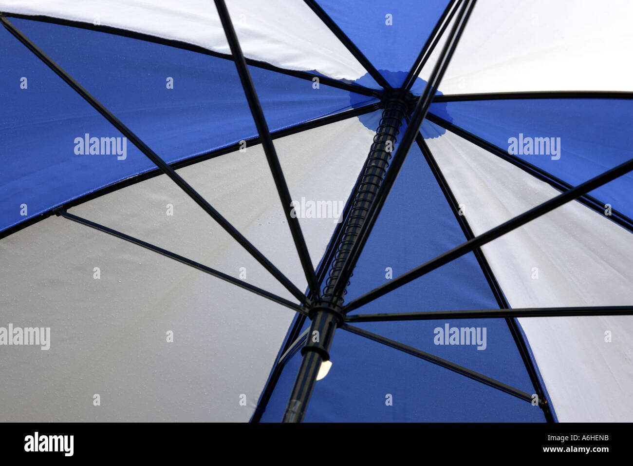 blue and white umbrella in the rain Stock Photo Alamy