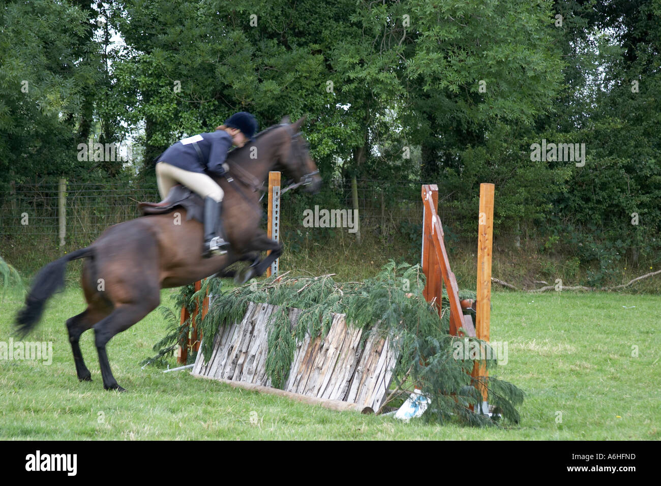 Show jumping rider contestant Stock Photo Alamy