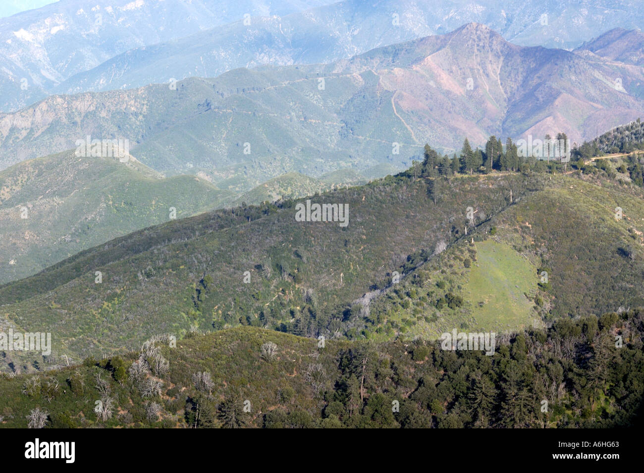 Los Padres National Forest Stock Photo Alamy