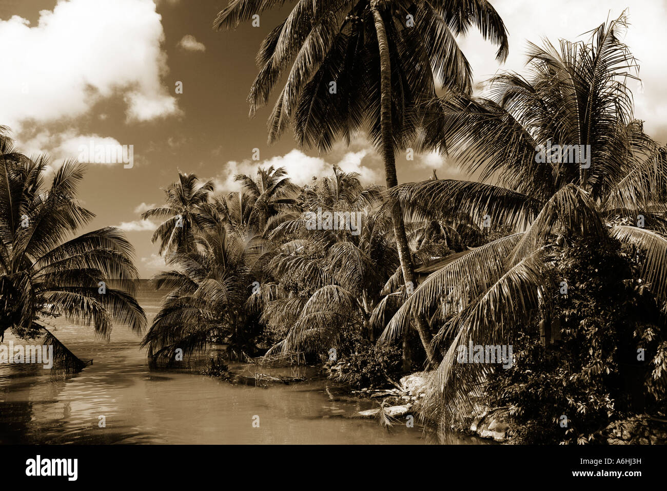 Indian River Portsmouth City Dominica Lesser Antilles Windward Islands Caribbean Stock Photo