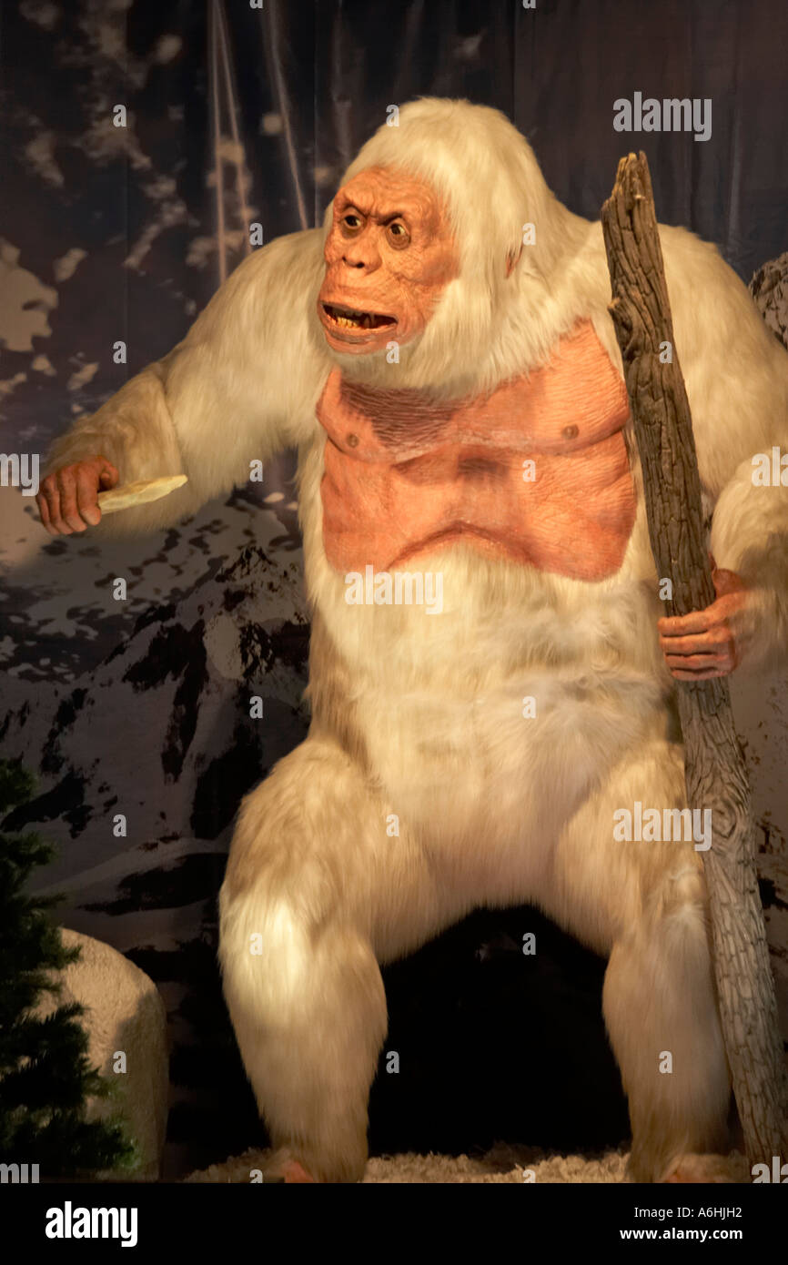 Yeti hi-res stock photography and images - Alamy
