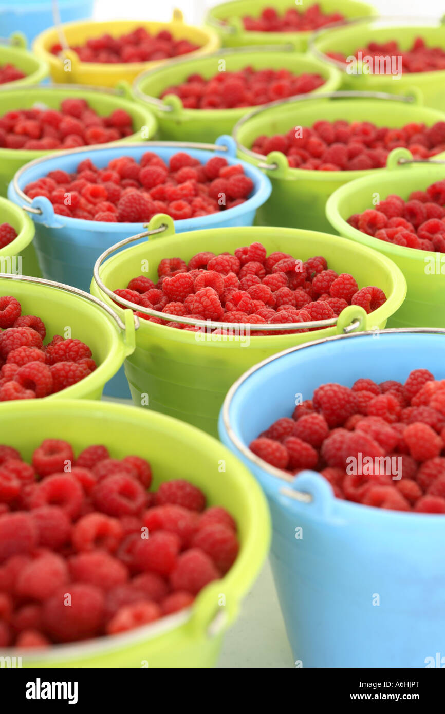 Buckets of raspberries Stock Photo Alamy