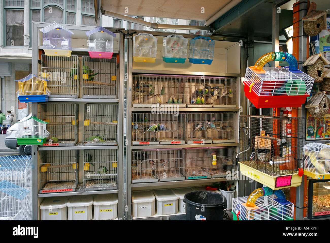 Bird market on La Rambla Barcelona Spain Europe Stock Photo Alamy