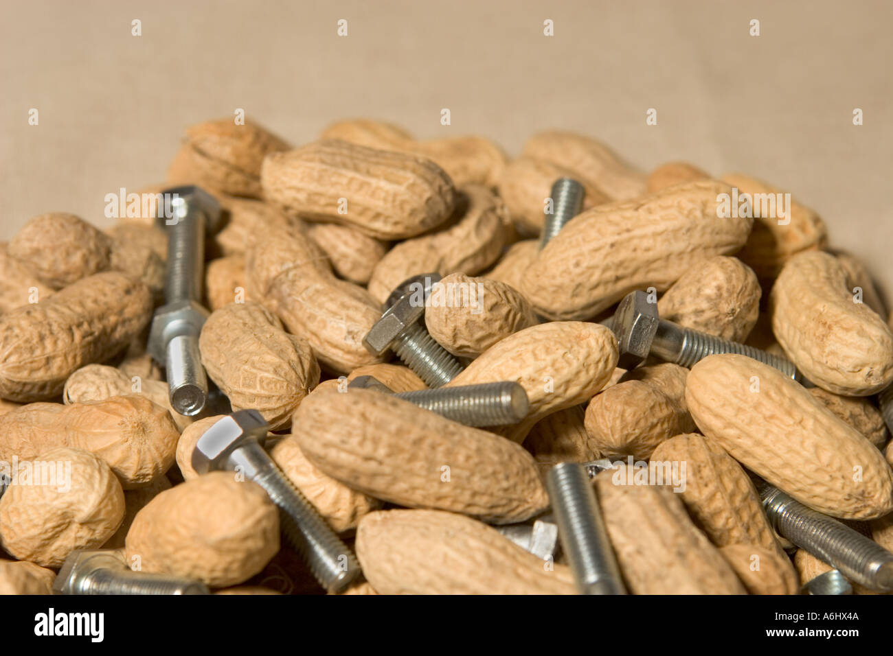 Peanuts and 1 4 bolts illustrating the common expression Nuts and Bolts
