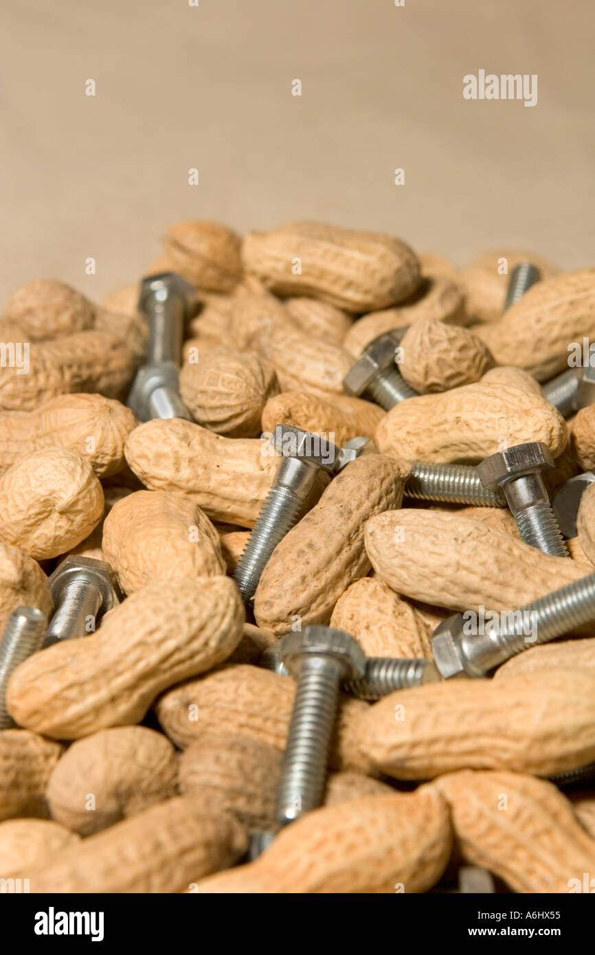 Peanuts and 1 4 bolts illustrating the common expression Nuts and Bolts Beige cloth background