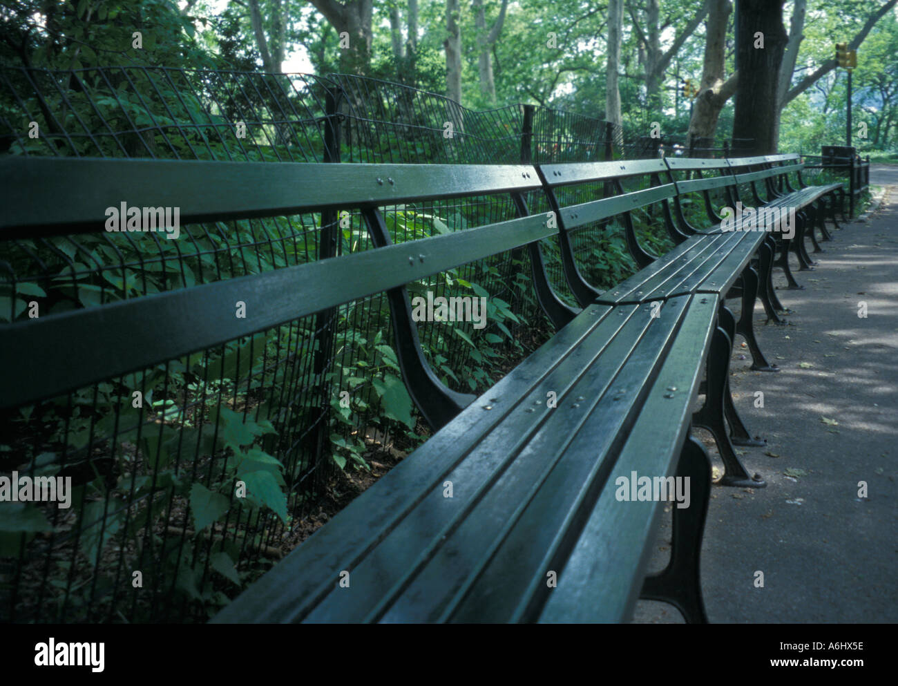 Walkway with bench in New York City s Central Park with green summer foliage Stock Photo