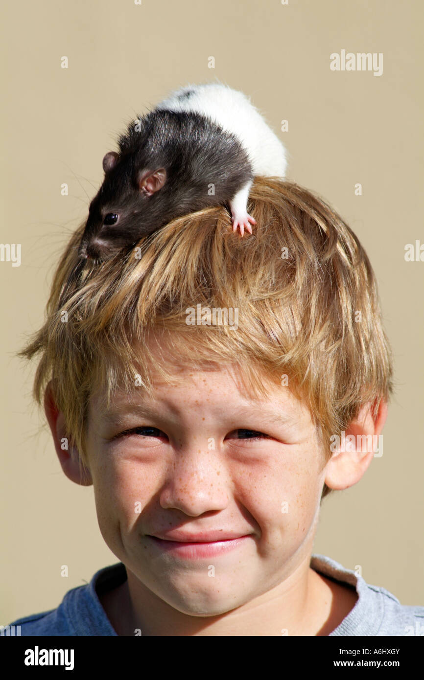 Boy with pet rat Young smiling boy with his pet rat sitting on his head Stock Photo