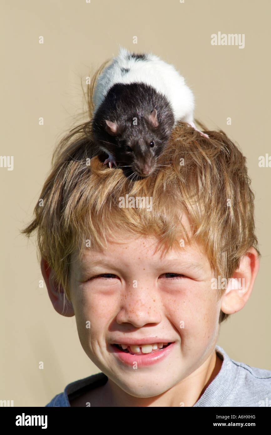 Boy with pet rat Young smiling boy with his pet rat sitting on his head Stock Photo