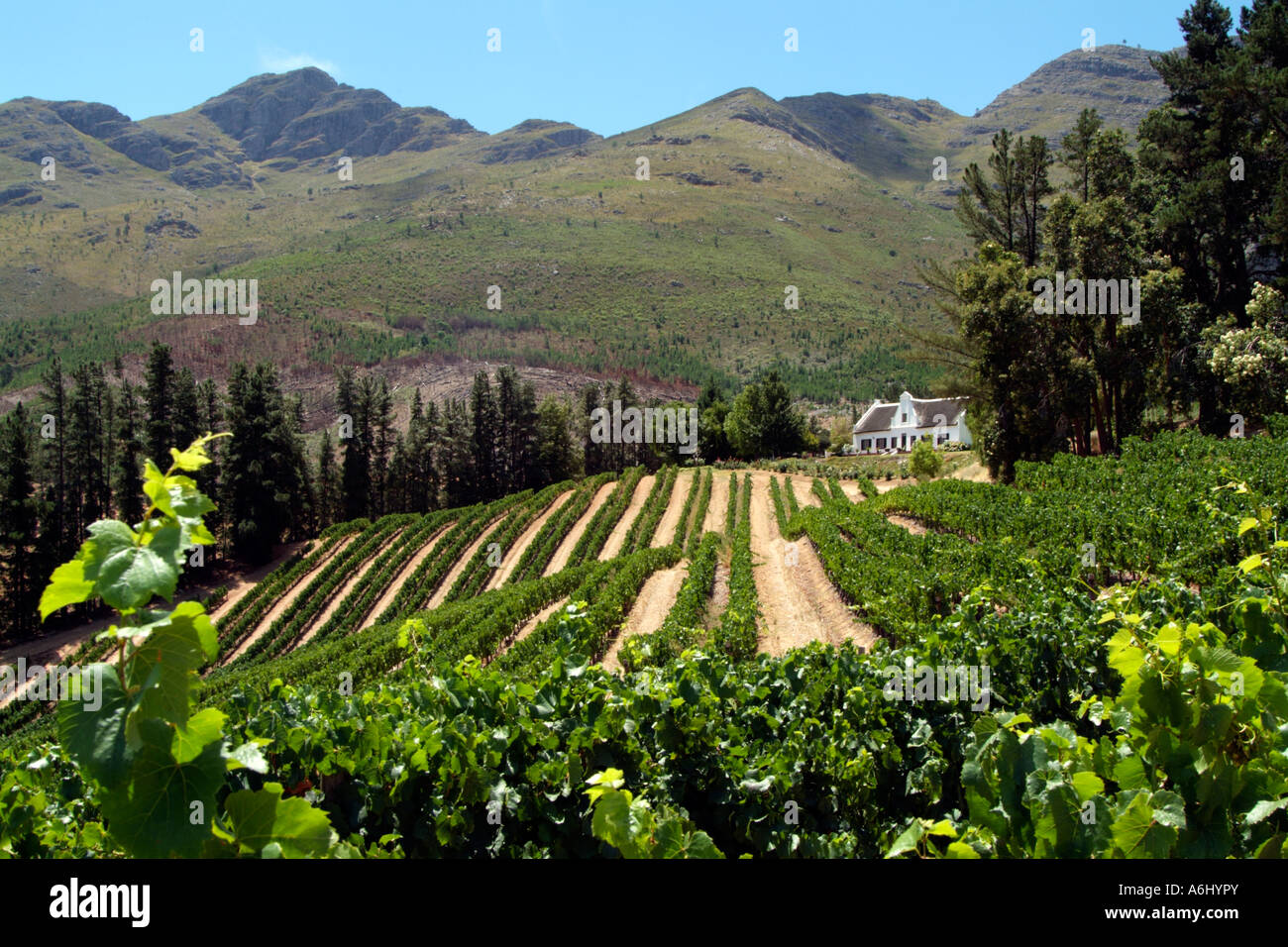 Dieu Donne wine estate at Franschhoek Manor House and vines South