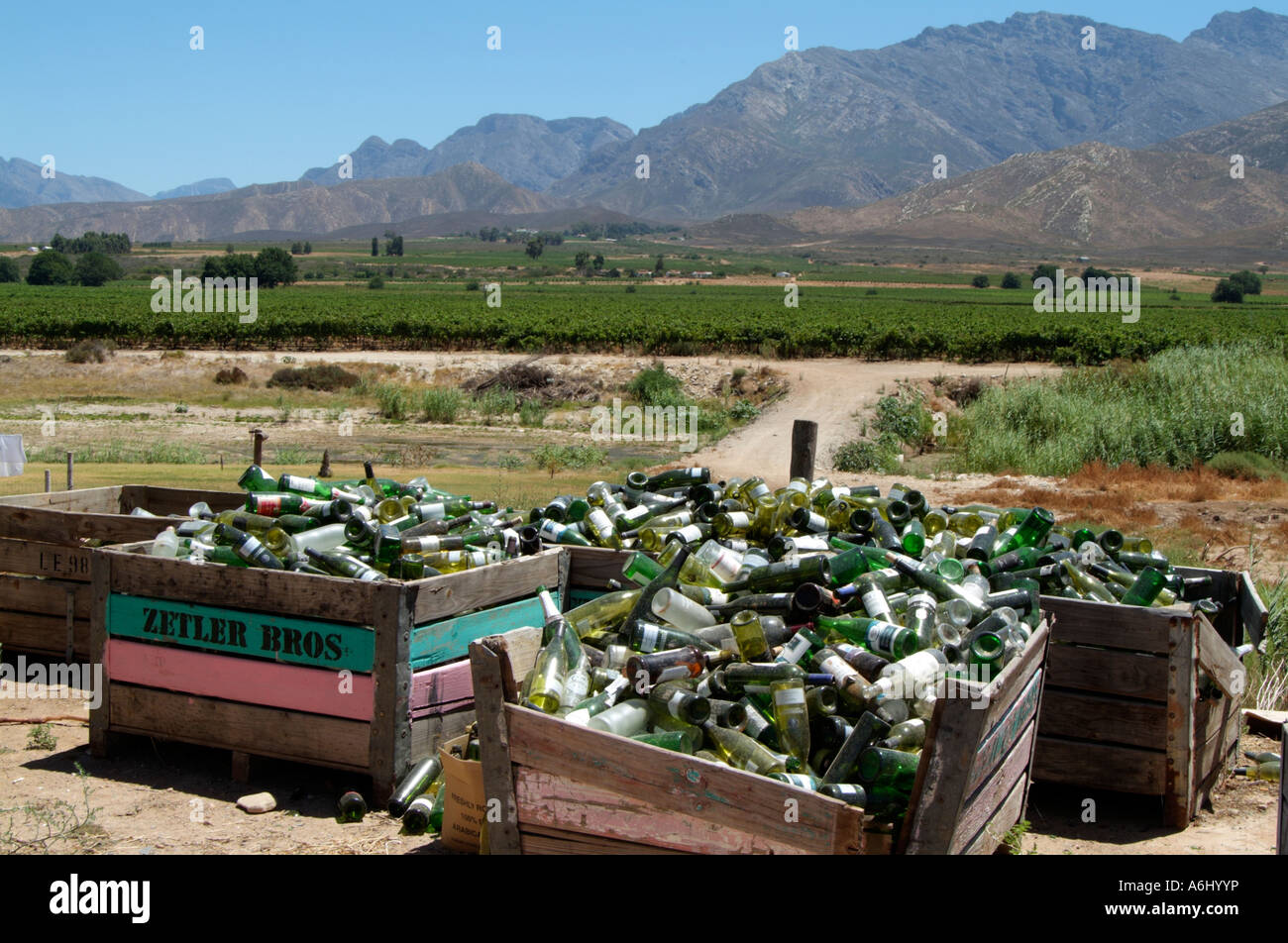 Empty wine bottles stacked for recycling. Wine estate South Africa RSA