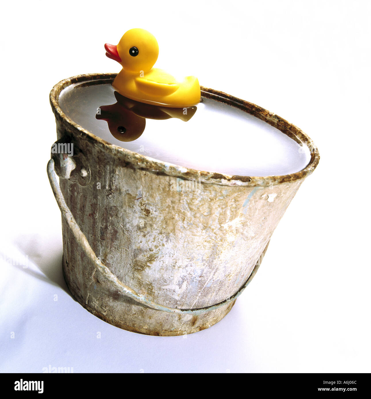 Rubber Ducky In Bucket Of Water Stock Photo Alamy