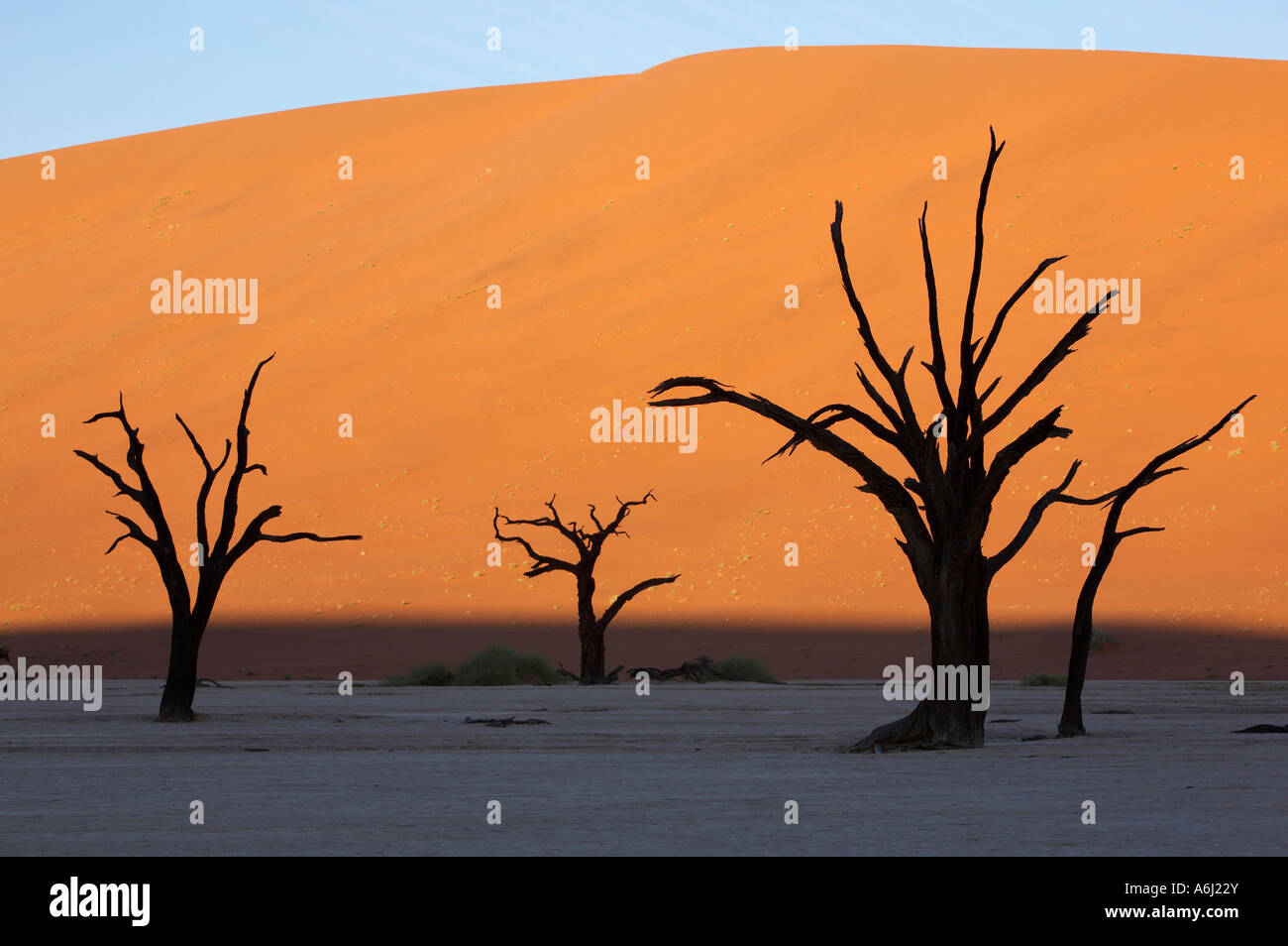 Deadvlei dawn hi-res stock photography and images - Alamy