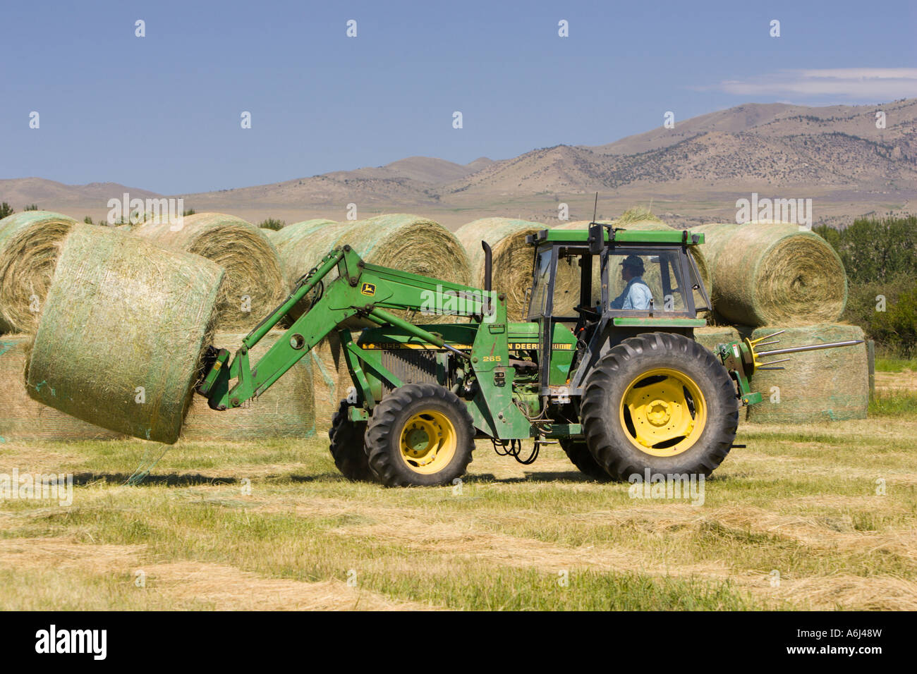 TWIN BRIDGES MONTANA USA Farm tractor moves round bales of hay west of