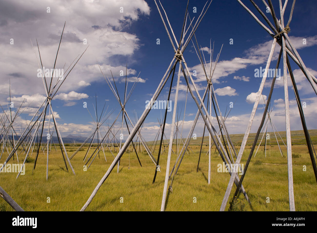Nez Perce Indian camp site tipi poles at Big Hole National Battlefield Stock Photo