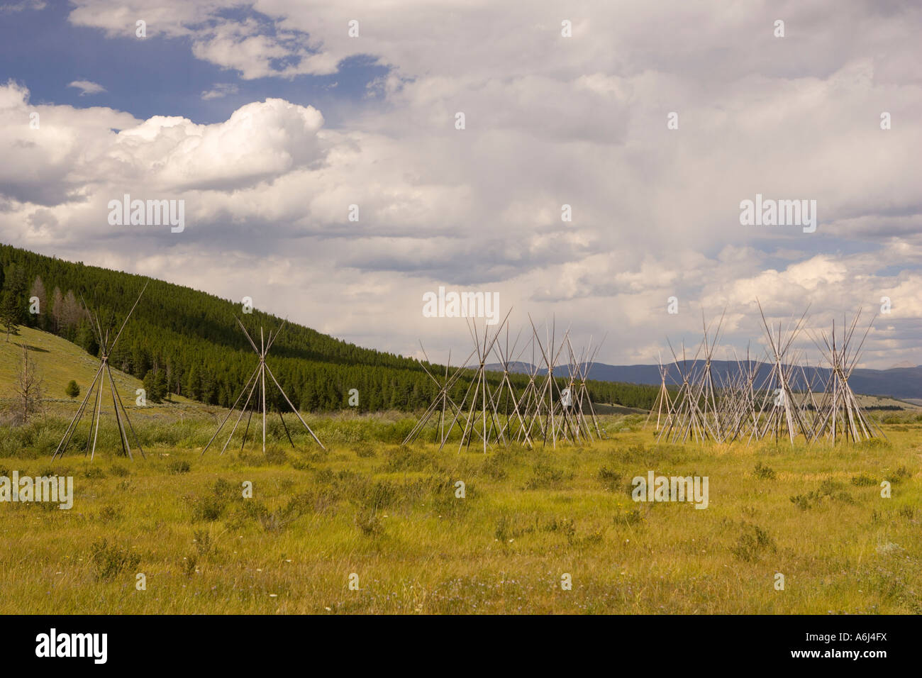 Nez Perce Indian camp site tipi poles at Big Hole National Battlefield which memorializes the Battle of Big Hole in 1877 Stock Photo