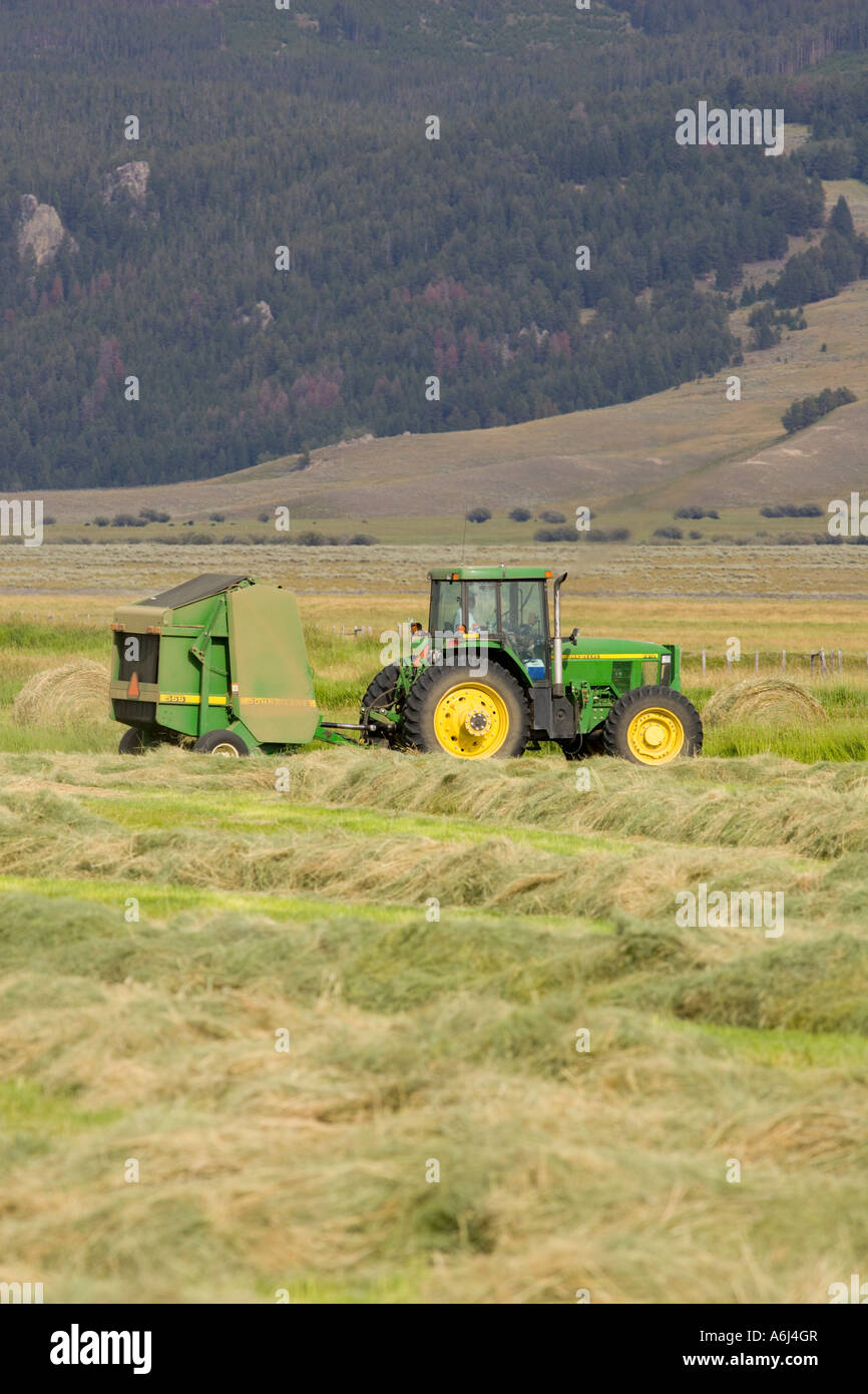WISDOM MONTANA USA Tractor creates round bales of hay during harvest in the Big Hole valley Stock Photo