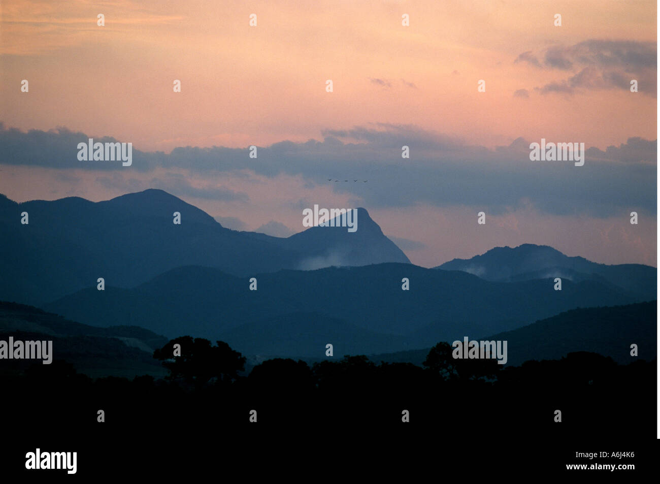 South Africa Kruger Park Stock Photo - Alamy