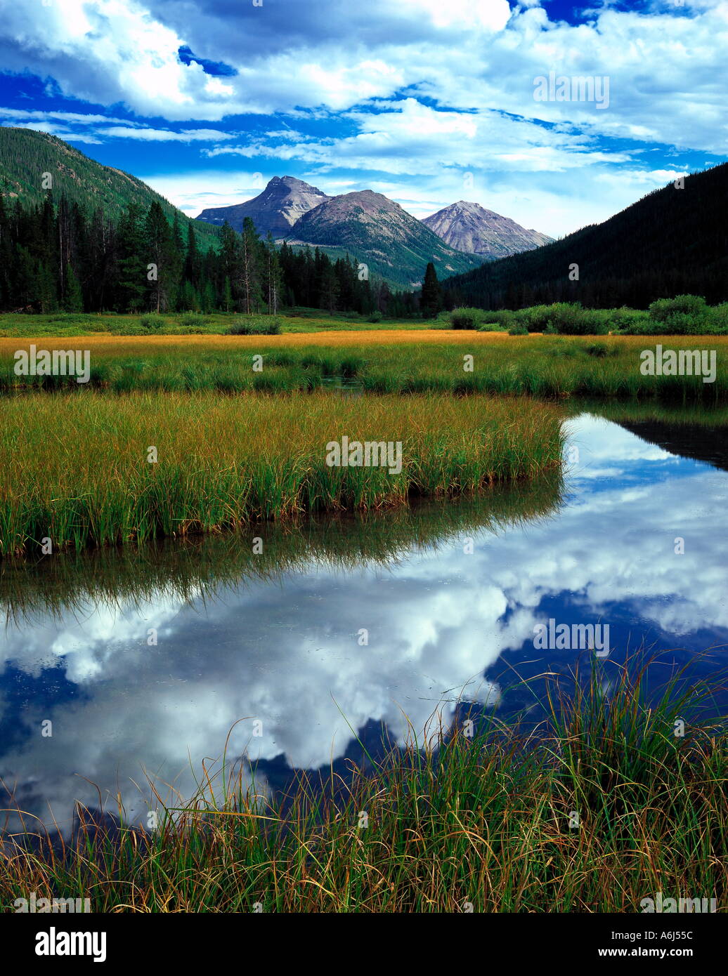 Christmas Meadow Utah Stock Photo Alamy