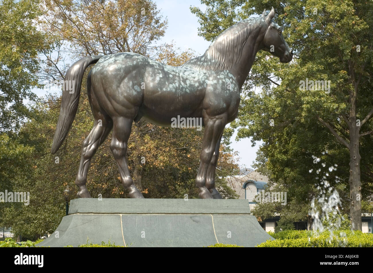 Man o war ford lexington kentucky #4
