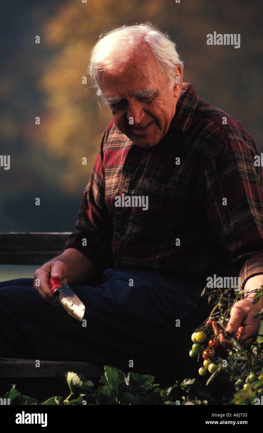 Old Man Gardening Stock Photo - Alamy