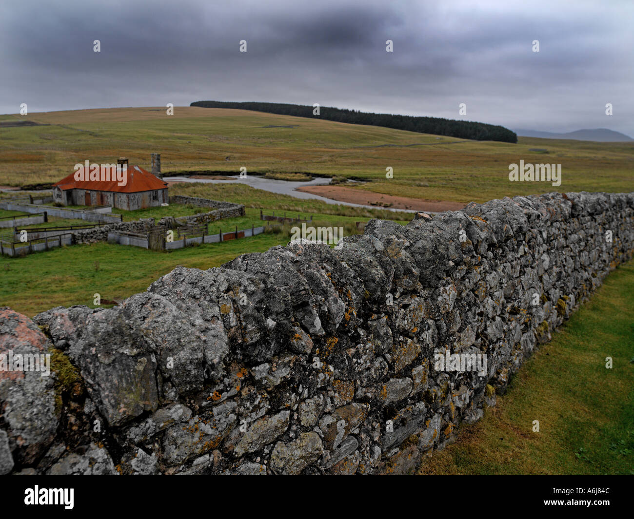 dry stone wall caithness Stock Photo Alamy