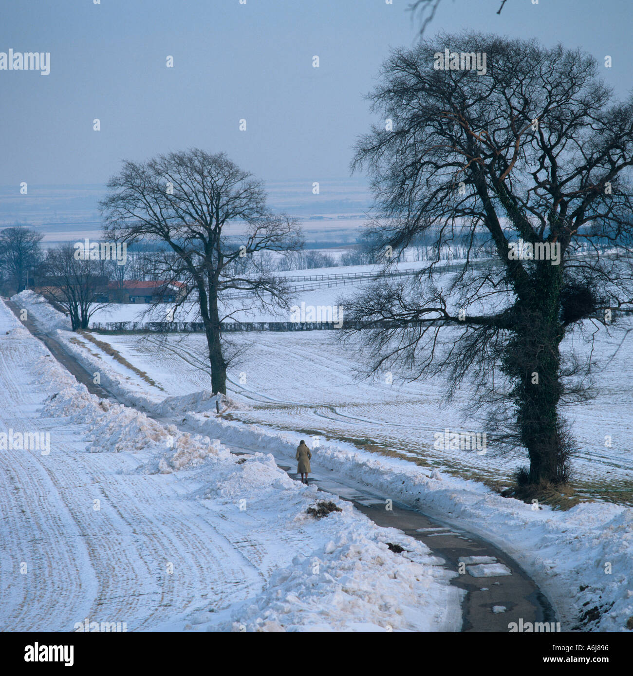 Winter Snow Wytch Elms Baldock Herts UK Stock Photo - Alamy