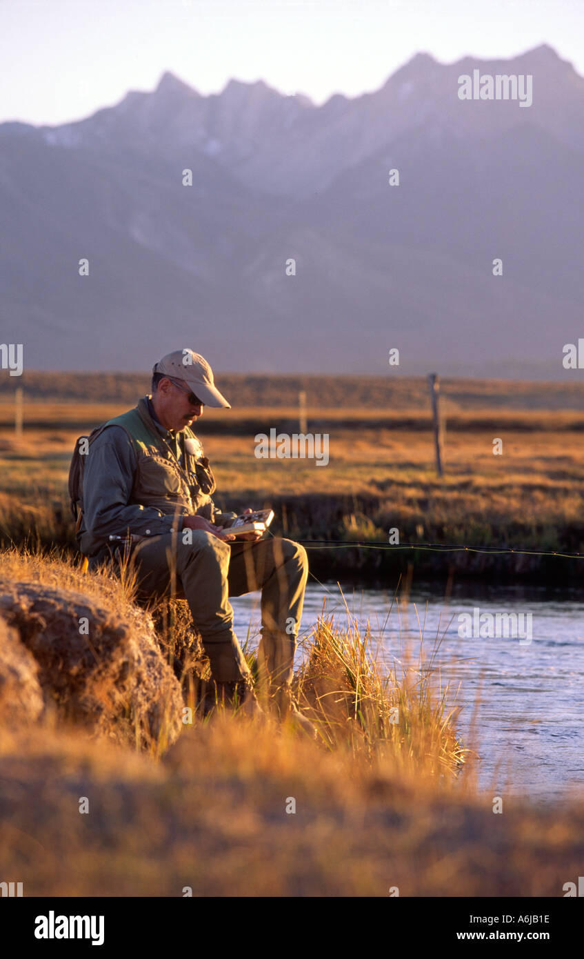 Fly fishing the Owens River Stock Photo Alamy