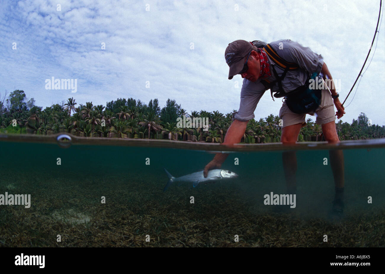 flyfisherman with bonefish in tropical lagoon Stock Photo