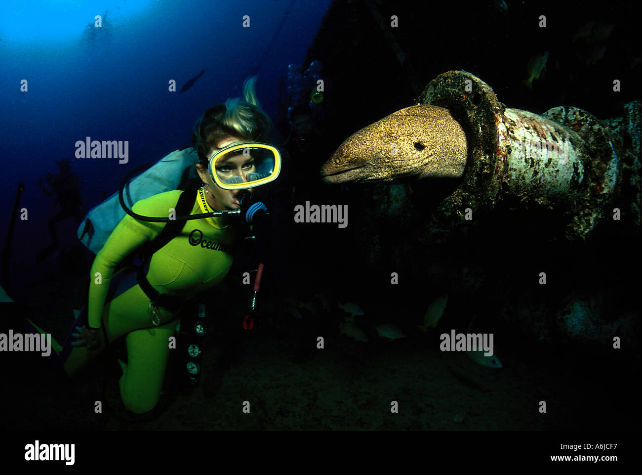 Moray eel with female diver hires stock photography and images Alamy